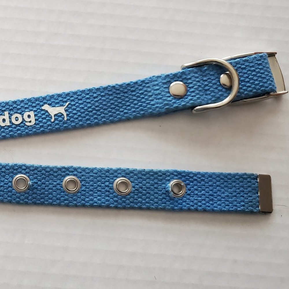 HTF Victoria Secret Pink RARE Dog Collar Vintage 2000's Aqua Blue Sooo Pretty - Picture 7 of 10